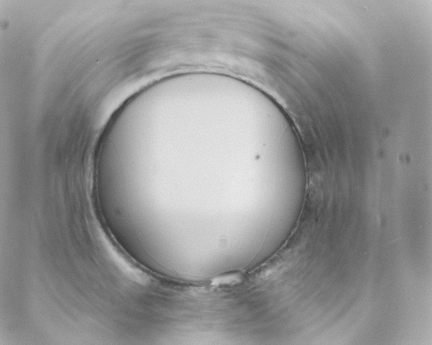 X0000088841523200706281809