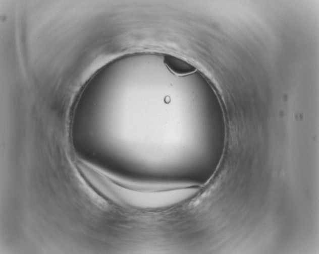 X0000088841525200706281809