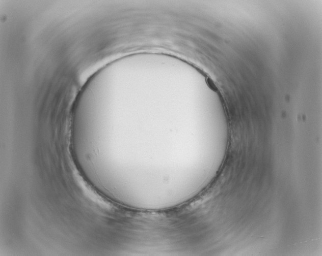 X0000088841526200706281809