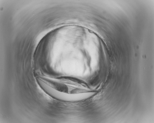 X0000088841527200706281809