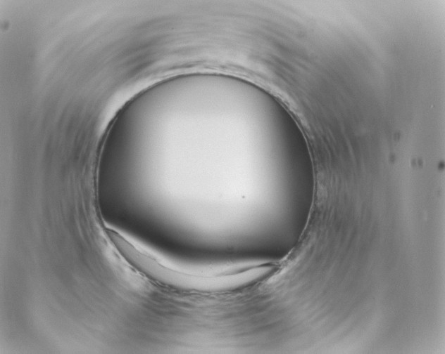 X0000088841530200706281809