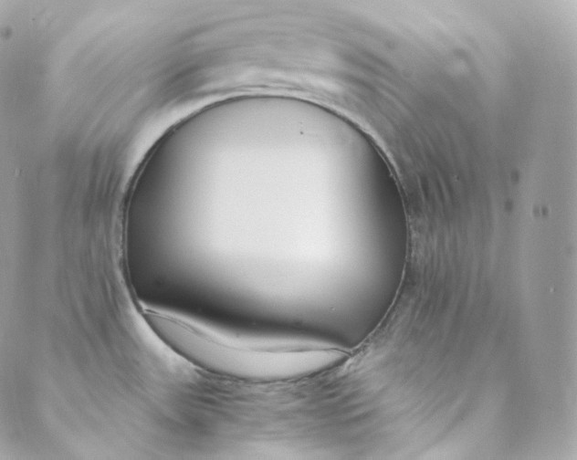 X0000088841531200706281809