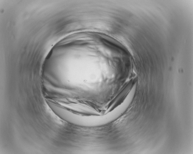 X0000088841532200706281809