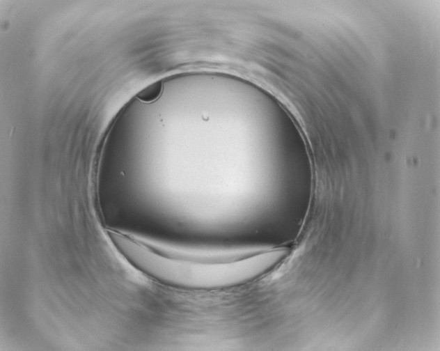 X0000088841533200706281809