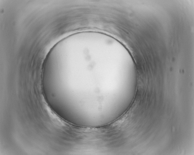 X0000088841534200706281809