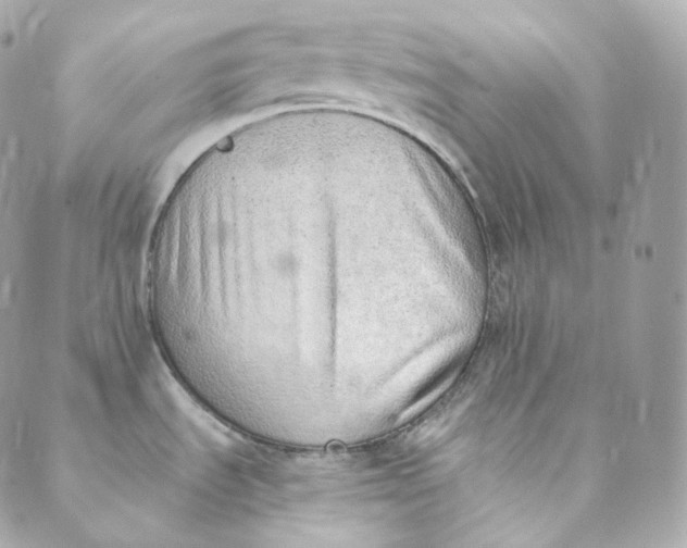 X0000088841535200706281809