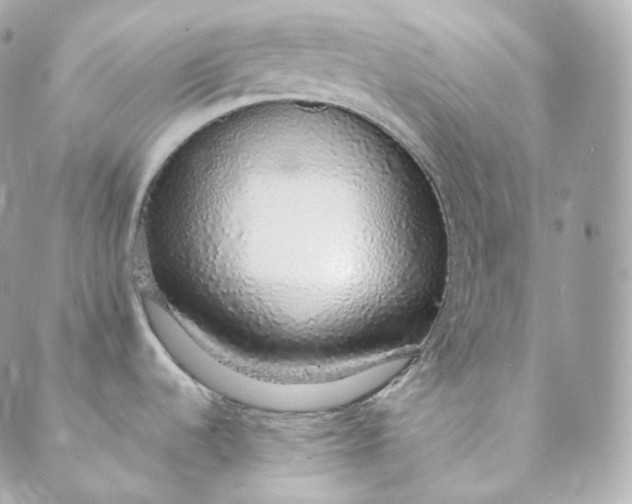 X0000088841536200706281809