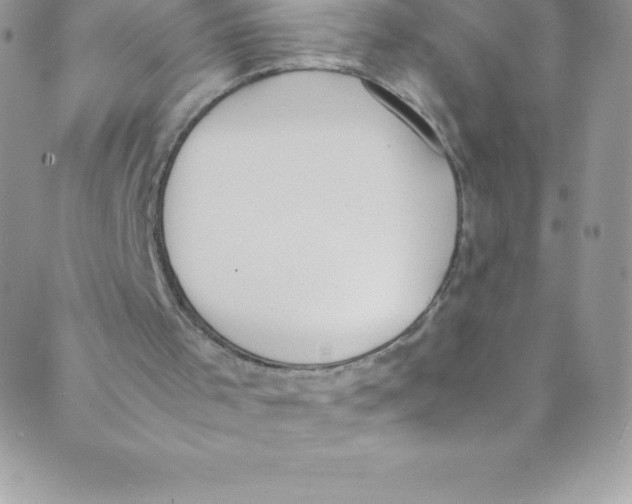 X0000088840001200707051459