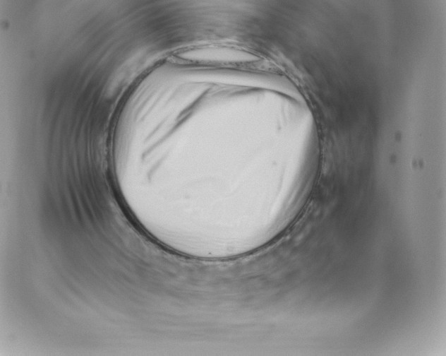 X0000088840002200707051459