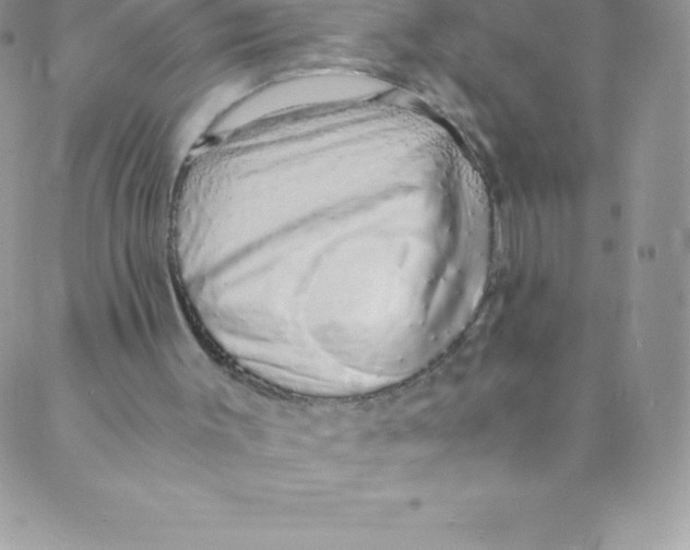 X0000088840003200707051459