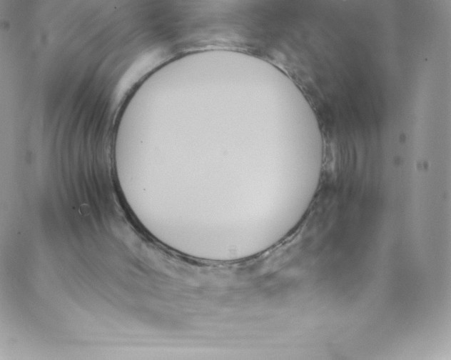 X0000088840004200707051459