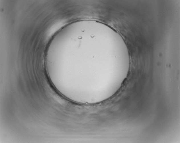 X0000088840005200707051459