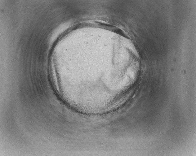 X0000088840006200707051459