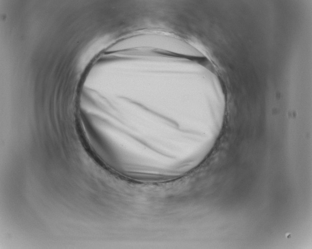 X0000088840007200707051459