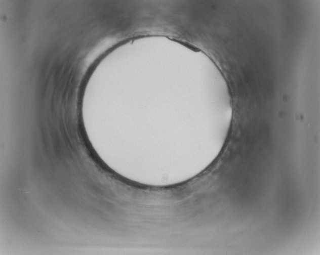 X0000088840008200707051459