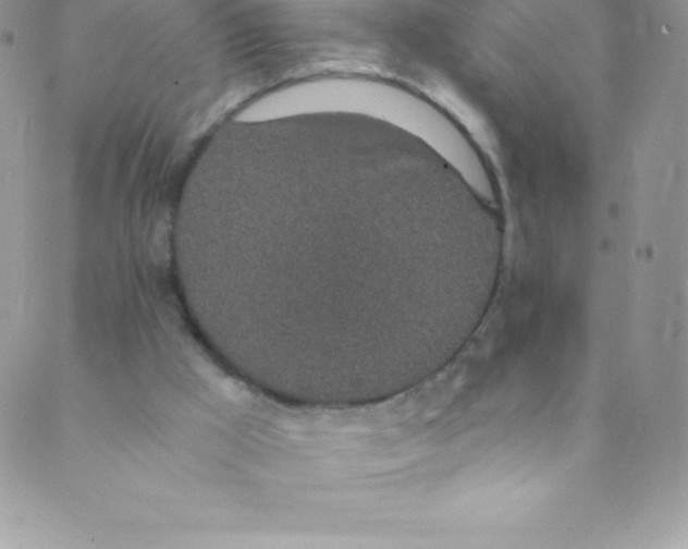 X0000088840009200707051459