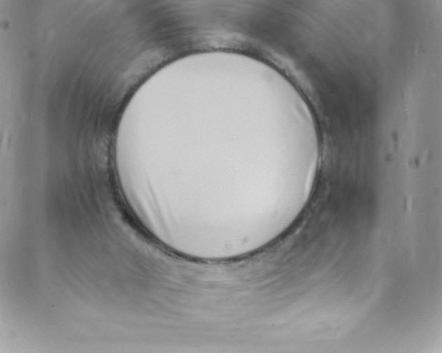 X0000088840010200707051459