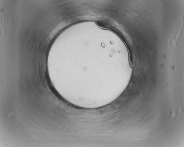 X0000088840011200707051459