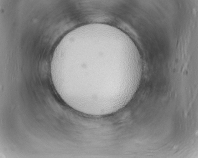 X0000088840012200707051459