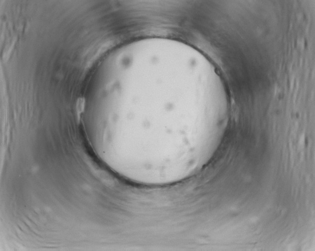 X0000088840013200707051459