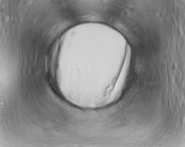 X0000088840014200707051459