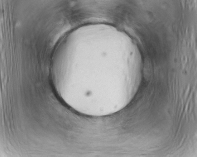 X0000088840015200707051459