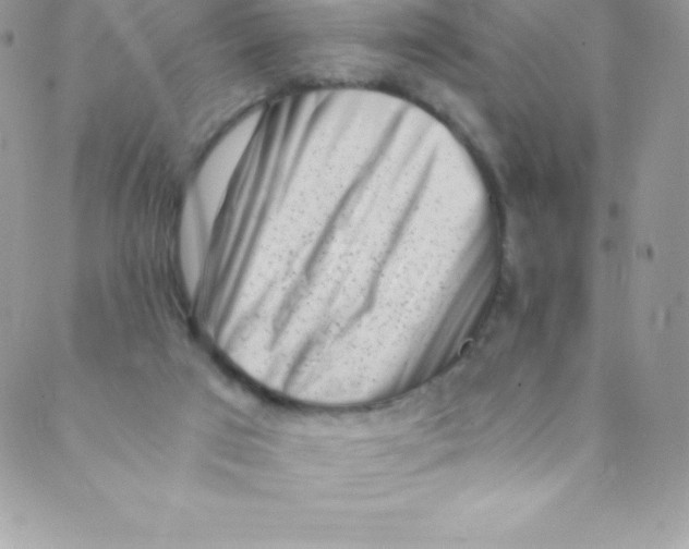 X0000088840017200707051459