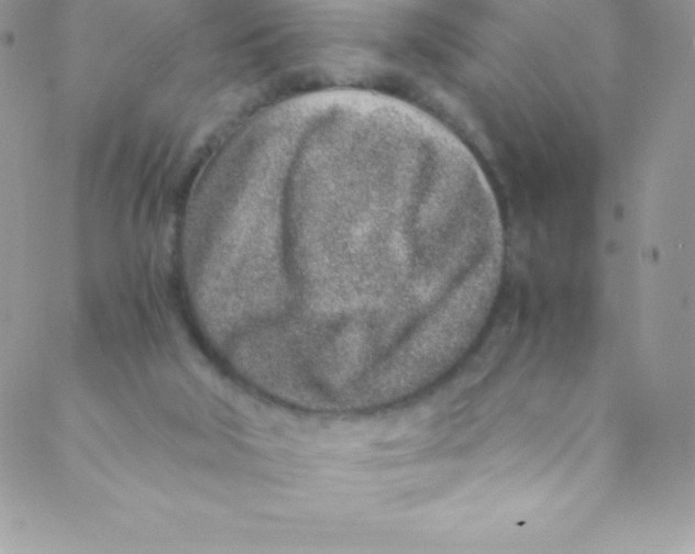 X0000088840018200707051459