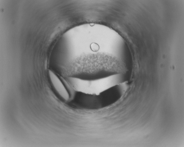 X0000088840019200707051459