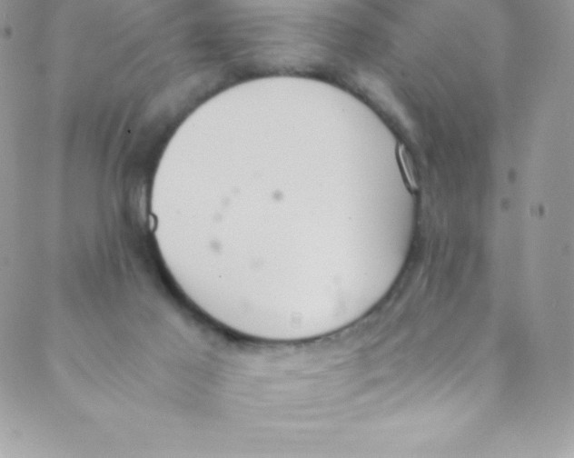 X0000088840021200707051459