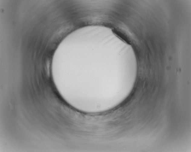 X0000088840022200707051459