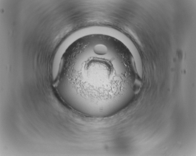 X0000088840023200707051459