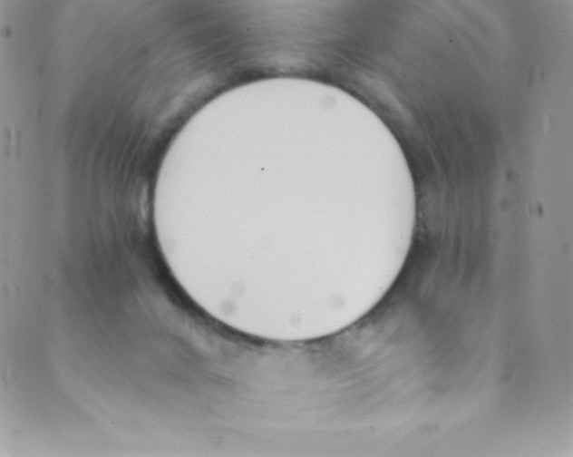 X0000088840024200707051459