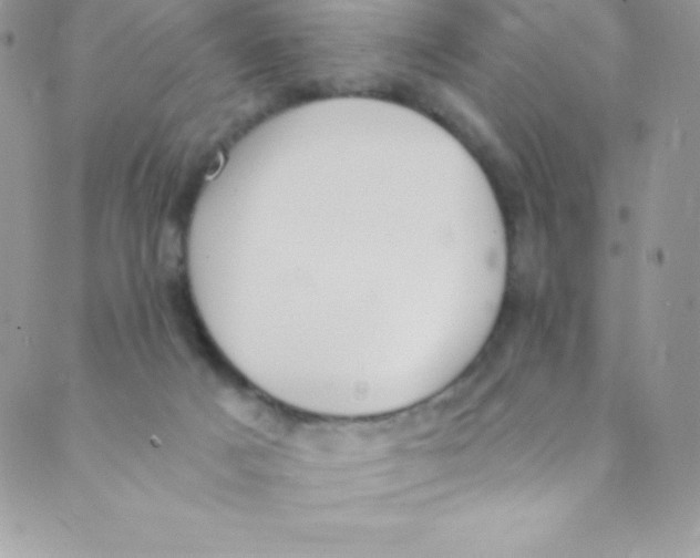 X0000088840025200707051459