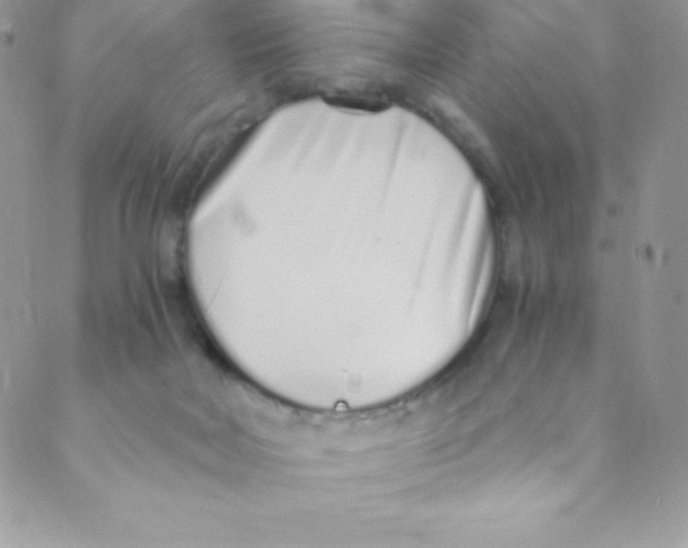 X0000088840026200707051459