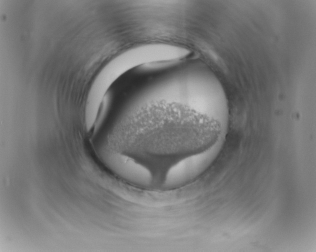 X0000088840027200707051459