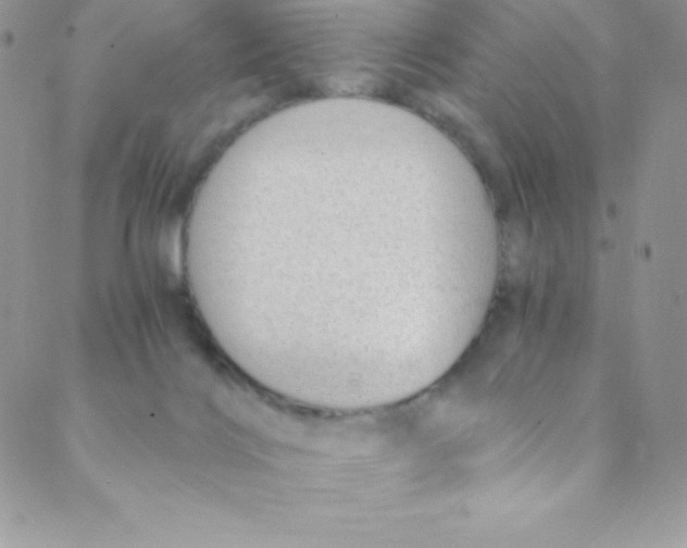 X0000088840028200707051459