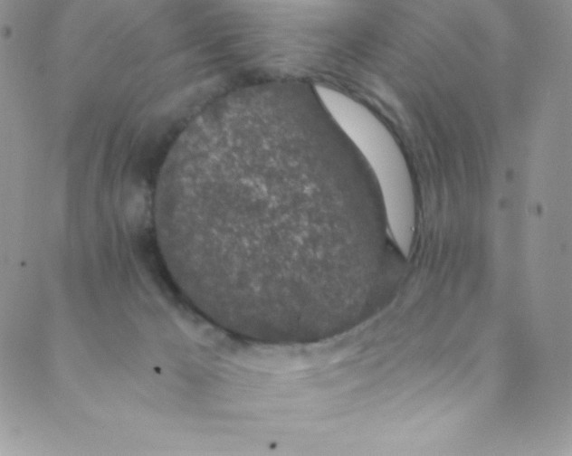 X0000088840029200707051459