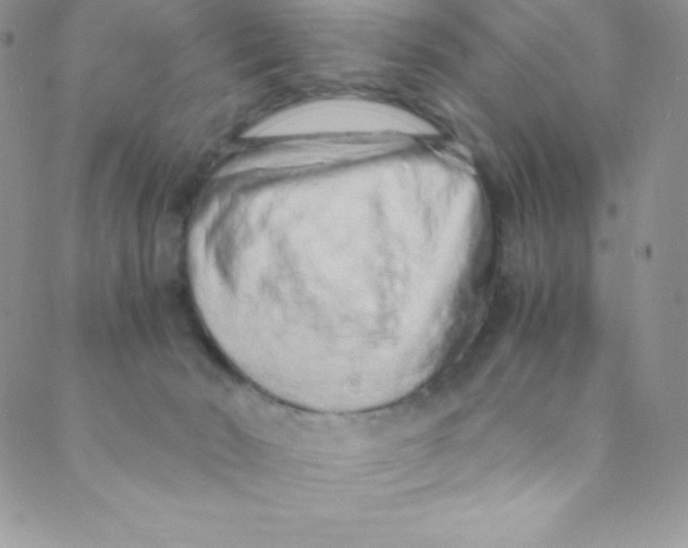 X0000088840030200707051459