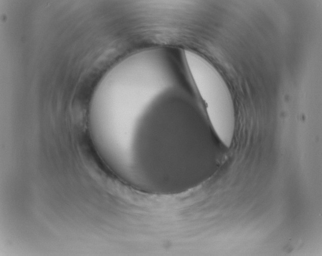 X0000088840031200707051459