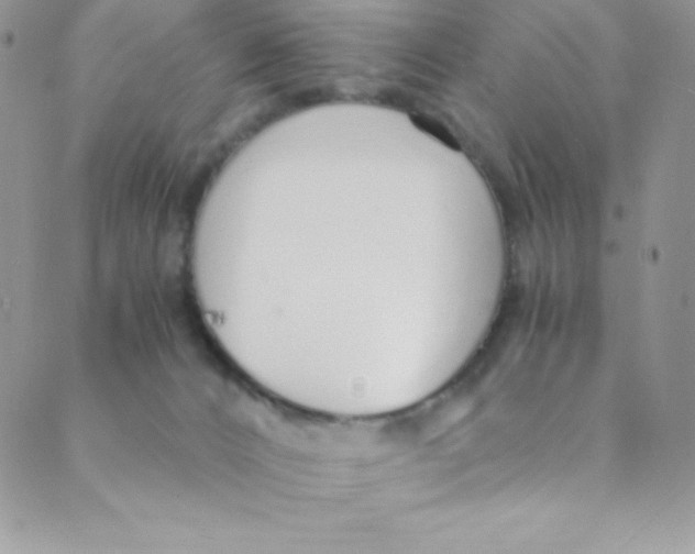 X0000088840032200707051458