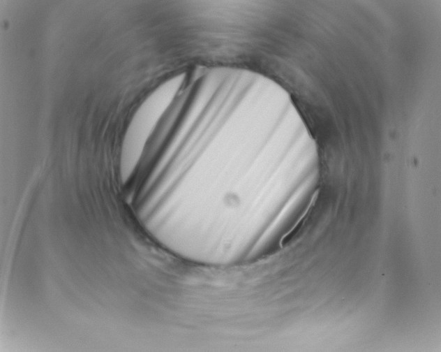 X0000088840033200707051458