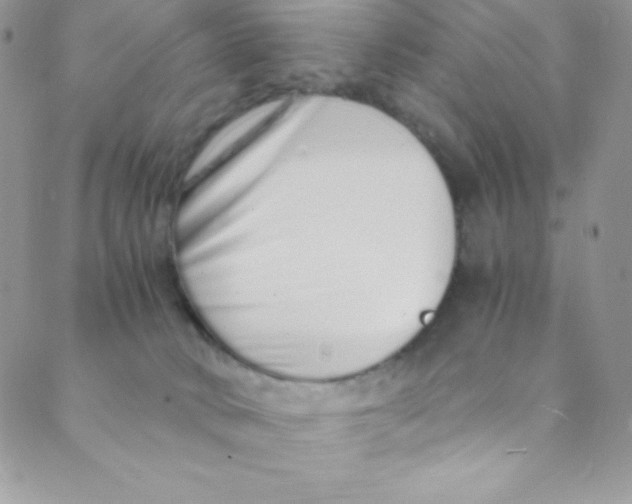 X0000088840034200707051458