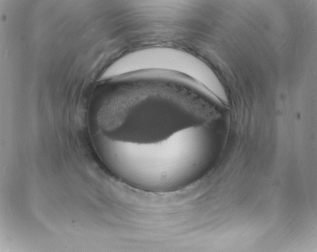 X0000088840035200707051458