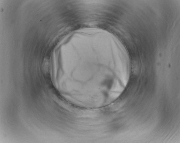 X0000088840036200707051458