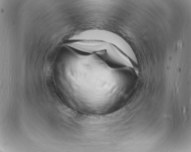 X0000088840037200707051458