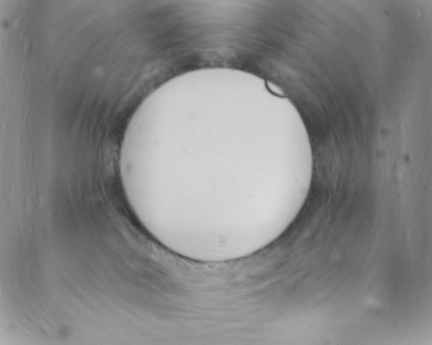 X0000088840038200707051458