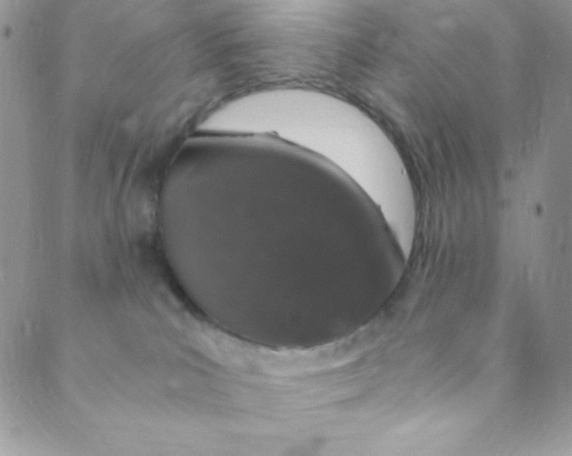 X0000088840039200707051458