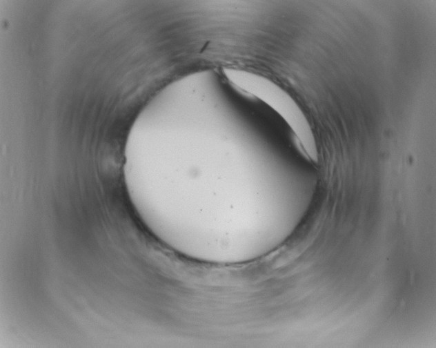 X0000088840040200707051458