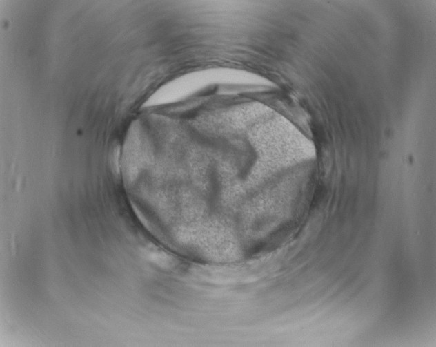 X0000088840041200707051458